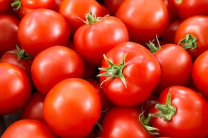 Los beneficios del tomate