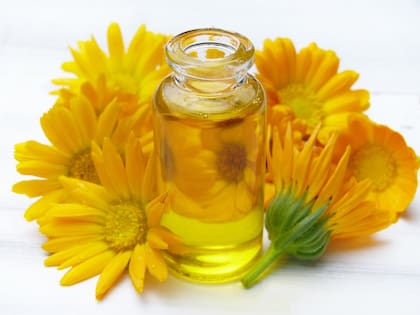 Los beneficios reparadores de la caléndula se pueden aplicar sobre la piel en productos como cremas, pomadas, o aceites, entre otros