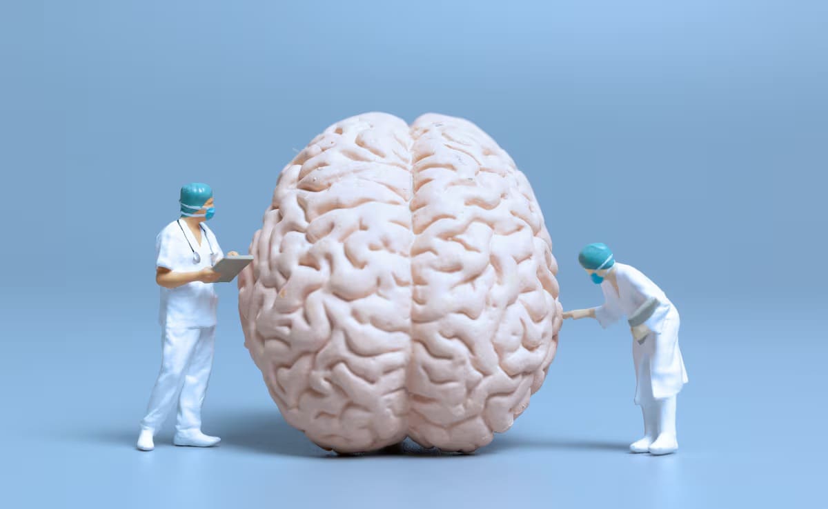 Um especialista revela os efeitos pouco conhecidos do treinamento de força no cérebro