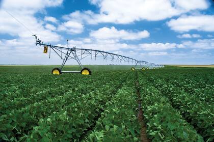 Los biológicos tienen un fuerte crecimiento