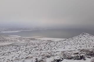 ¿Por qué las fuertes nevadas son una gran noticia para el macá tobiano?