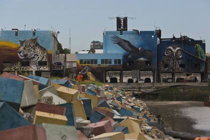 Los bloques coloridos le dan vida a la escollera