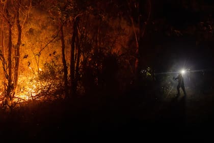 Los bomberos combaten las llamas que se propagan por una zona boscosa cerca de Concepción, Chile.