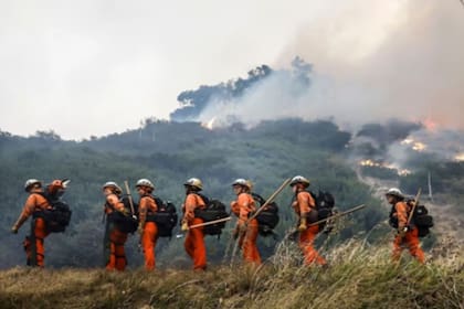 Los bomberos encarcelados reclamaron un reconocimiento de sus labores en incendios