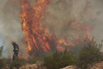 Los bomberos luchan contra el fuego en el área de Dervenochoria, a cincuenta kilómetros de Atenas