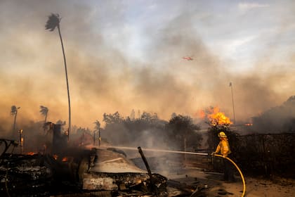 Los bomberos luchan contra el incendio Mountain, el 6 de noviembre de 2024, cerca de Camarillo, California (Foto AP/Ethan Swope)