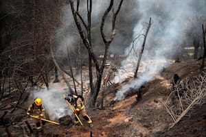 Chile enfrenta la “tragedia más grande” desde el tsuami por incendios forestales: al menos 112 muertos