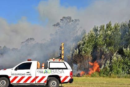 El fuego comenzó poco antes de las cuatro de la tarde
