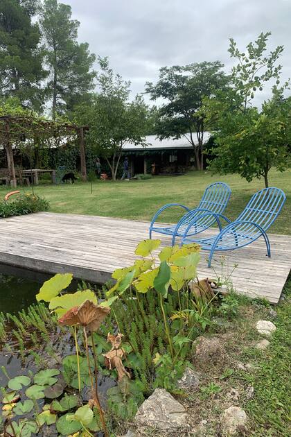Los bordes del deck y del jardín se desdibujan e integran dando la impresión de ser una laguna natural