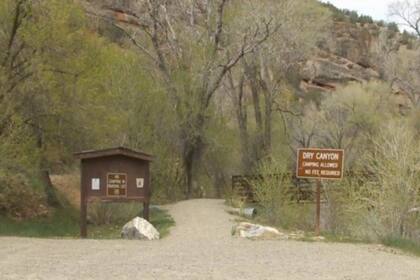 Los bosques de Diamond Ford Canyon, donde encontraron a la mujer desaparecida hace seis meses