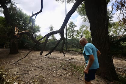 Los Bosques de Palermo sufrieron las consecuencias del temporal que aún se ven en las veredas y en el espacio verde
