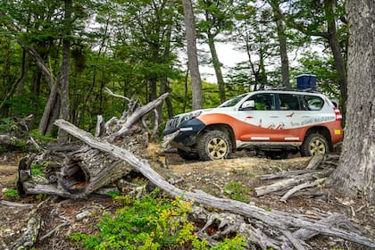 Los bosques de Ushuaia, rumbo al lago Fagnano en 4x4