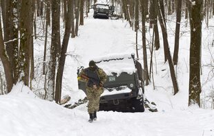Los bosques del oeste de Ucrania ayudaron a contener el avance ruso