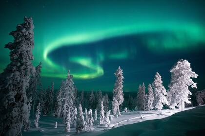 Los bosques nevados, todos blancos, y la luz verdosa de las auroras es la foto más buscada durante el invierno polar.