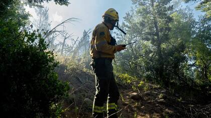 Los brigadistas mantienen una guardia de cenizas en el cerro Otto