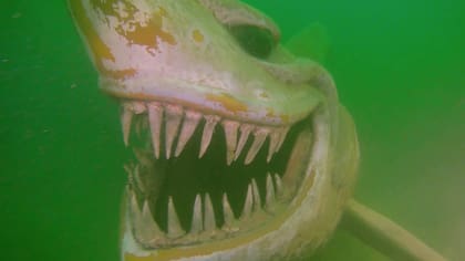 Los buceadores que se toparon con la estatua de un tiburón en el lago de Neuchâtel, Suiza