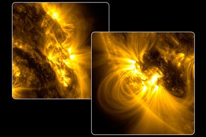 Los bucles que se extienden fuera de las regiones brillantes son campos magnéticos que han atrapado plasma