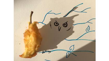 Los búhos no son lo que parecen