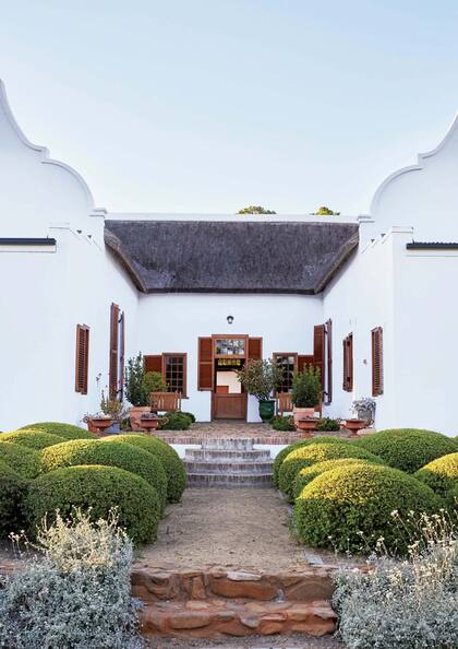 Los buxus podados al estilo de topiarios son un ejemplo de una huerta-jardín altamente manicurada inserta en los fynbos autóctonos (extensiones de arbustos de hojas finas, resistentes a meses de poca agua).