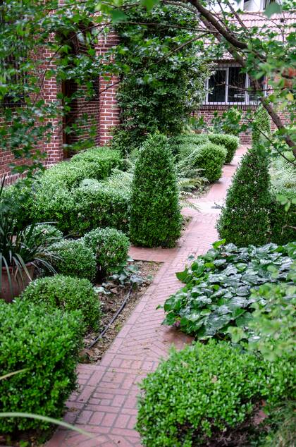 Los buxus podados destacan sus formas geométricas