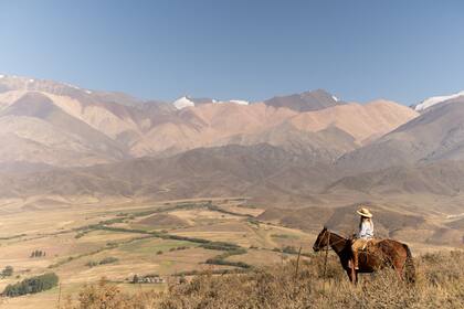 Los caballos deben concentrarse en lo que quieren lograr y los pasos que deben dar para lograrlo.