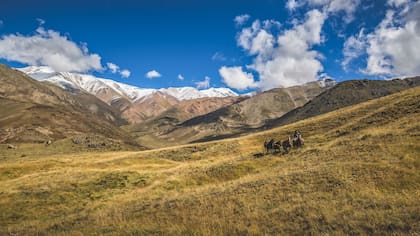 Los caballos se adentran en la cordillera hasta alcanzar picos altísimos; no hay otra manera de descubrir cuántos paisajes maravillosos pueden encerrar los Andes.