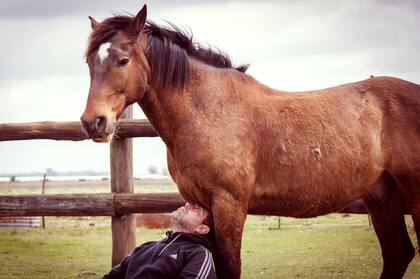 “Los caballos son unos seres increíbles capaces de interpretar tu estado de ánimo”