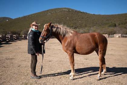 Los caballos tienen un sistema de liderazgo perfecto. Esa dinámica se replica con el humano cuando ambos participan de las actividades que propone el coach.