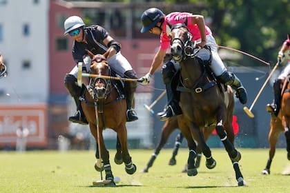 Los caballos transmiten mensajes para los jugadores