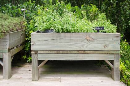 Los cajones de huerta fueron también parte del fenómeno que cobró una magnitud inesperada en 2020.