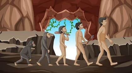 Los cambios de hábitat y de costumbres podrían haber influido en el hecho de que los humanos perdieran su pelaje, de acuerdo con algunos estudiosos