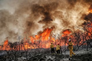 El enemigo inesperado que puede cambiar tus vacaciones