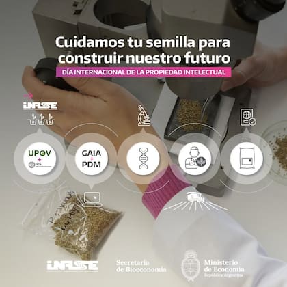 Los cambios en el Inase se harán por DNU