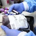 El Gobierno cambió el sistema para donar sangre e introdujo nuevos criterios