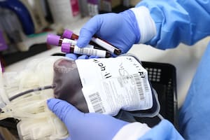 El Gobierno cambió el sistema para donar sangre e introdujo nuevos criterios