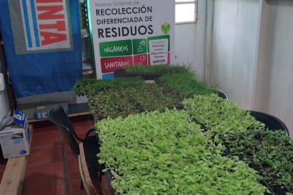 Los cambios implican un fuerte ajuste en las Agencias Experimentales