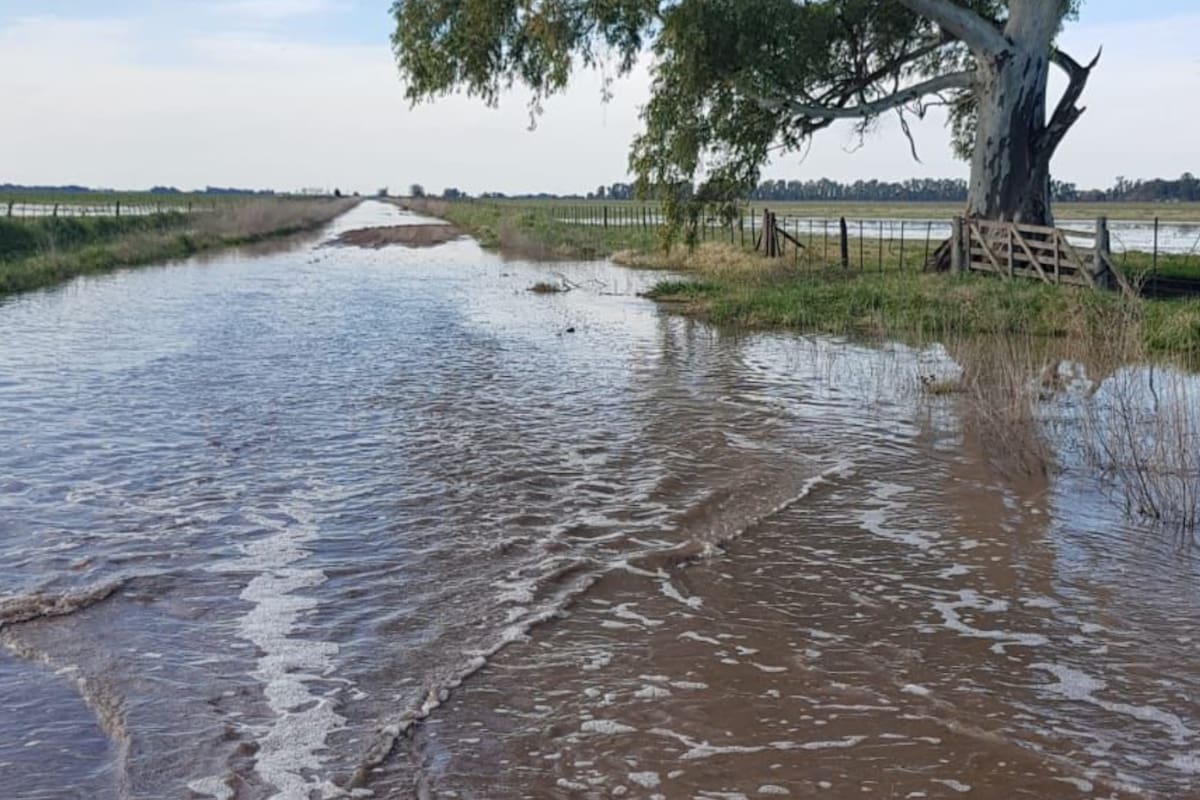 Productores de Carlos Casares están en pie de guerra por un proyecto de sobretasa vial en medio de las inundaciones
