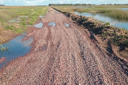 Los caminos que tuvieron que hacer los productores agropecuarios
