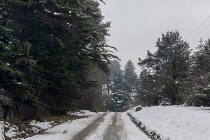 Los caminos rurales con dificultad para transitar en Las Golondrinas