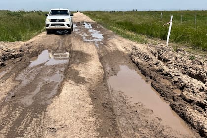 Los caminos rurales de Coronel Suárez