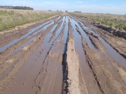 Los caminos rurales de Cuartel XII de Azul
