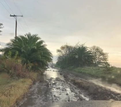 Los caminos rurales en mal estado son un tema crucial para los productores