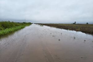 Desolación, miedo a perderlo todo y bronca de los productores en el norte de Santa Fe