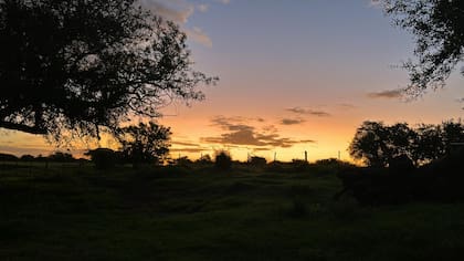 Los campos agrícolas de primera calidad mantienen su valor y muestran signos de recuperación, con precios que han pasado de 12.000 a 16.000 dólares por hectárea, aunque aún no todos los inversores convalidan esos valores