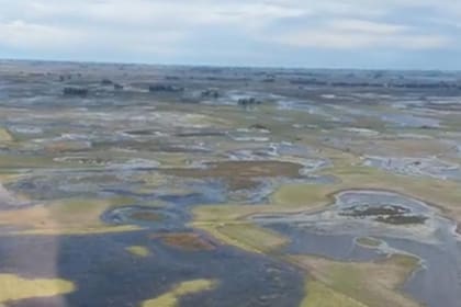Los campos anegados de Bolívar