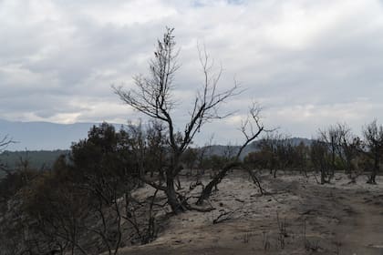 Los campos arrasados en los valles alrededor de Cholila