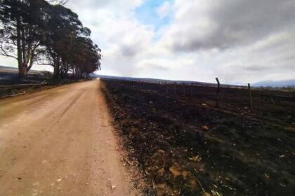 Los campos consumidos por los incendios a la vera de las rutas provinciales