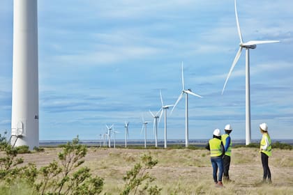 Los campos de energía eólica, como el de Trelew, son un nuevo paradigma
