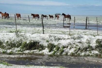 Los campos de la zona de Diego de Alvear, en Santa Fe, afectados por la granizada