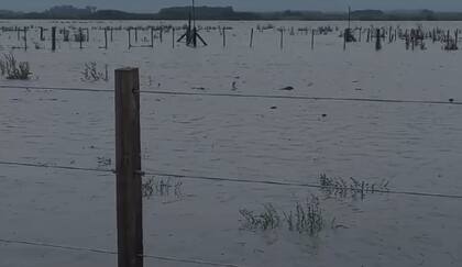 Los campos del centro y sur de la provincia atraviesan una enorme inundación